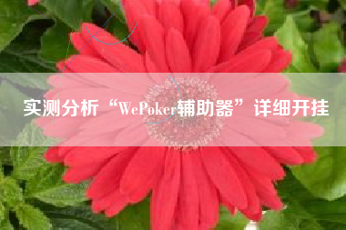 实测分析“WePoker辅助器”详细开挂