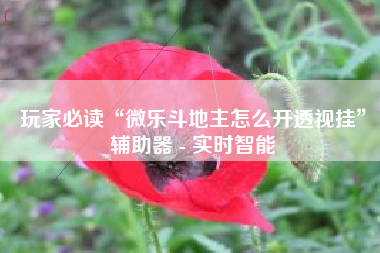 玩家必读“微乐斗地主怎么开透视挂	”辅助器 - 实时智能