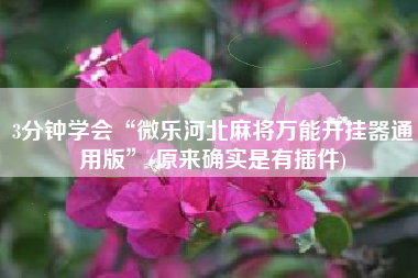 3分钟学会“微乐河北麻将万能开挂器通用版	”(原来确实是有插件)