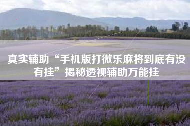 真实辅助“手机版打微乐麻将到底有没有挂”揭秘透视辅助万能挂