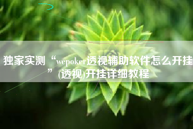 独家实测“wepoker透视辅助软件怎么开挂”(透视)开挂详细教程