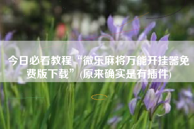 今日必看教程“微乐麻将万能开挂器免费版下载”(原来确实是有插件)