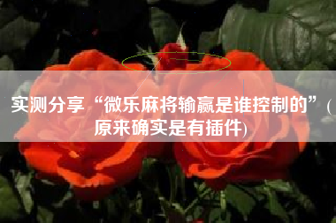 实测分享“微乐麻将输赢是谁控制的”(原来确实是有插件)