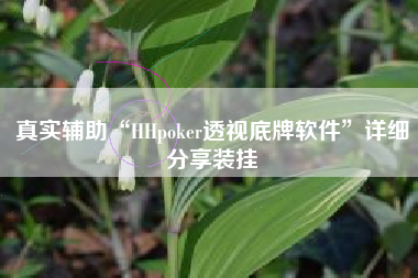 真实辅助“HHpoker透视底牌软件	”详细分享装挂