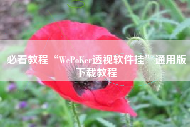 必看教程“WePoKer透视软件挂”通用版下载教程