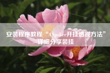 安装程序教程“AApoker开挂透视方法”详细分享装挂