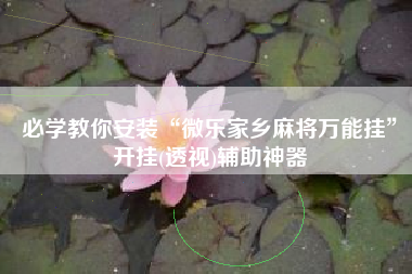 必学教你安装“微乐家乡麻将万能挂”开挂(透视)辅助神器