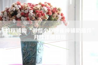 教程辅助“微信小程序雀神辅助插件”开挂详细教程