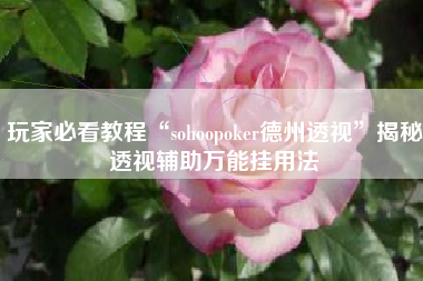 玩家必看教程“sohoopoker德州透视”揭秘透视辅助万能挂用法
