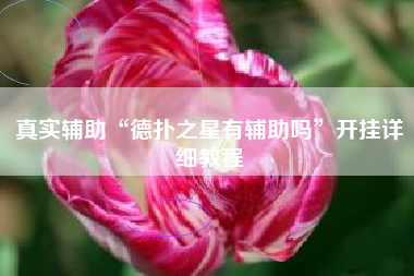 真实辅助“德扑之星有辅助吗”开挂详细教程