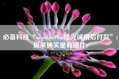必备科技“wepokerPlus挂先试用后付款	”(原来确实是有插件)
