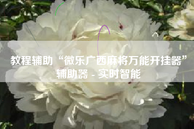 教程辅助“微乐广西麻将万能开挂器	”辅助器 - 实时智能