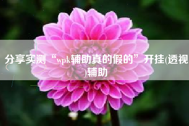 分享实测“wpk辅助真的假的	”开挂(透视)辅助