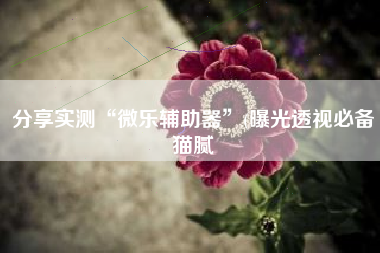 分享实测“微乐辅助器	”(曝光透视必备猫腻