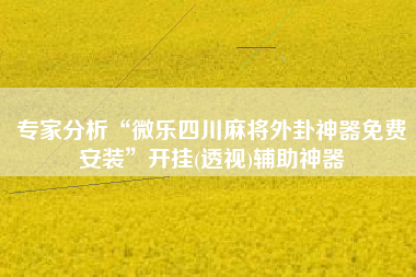 专家分析“微乐四川麻将外卦神器免费安装”开挂(透视)辅助神器