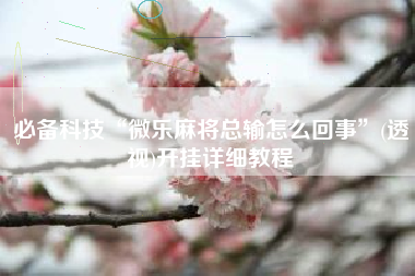 必备科技“微乐麻将总输怎么回事	”(透视)开挂详细教程