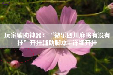 玩家辅助神器：“微乐四川麻将有没有挂	”开挂辅助脚本+详细开挂
