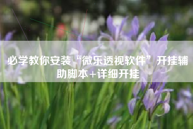 必学教你安装“微乐透视软件”开挂辅助脚本+详细开挂