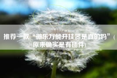 推荐一款“微乐万能开挂器是真的吗	”(原来确实是有插件)