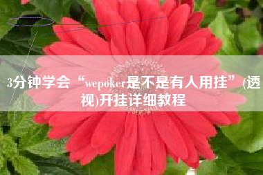 3分钟学会“wepoker是不是有人用挂”(透视)开挂详细教程