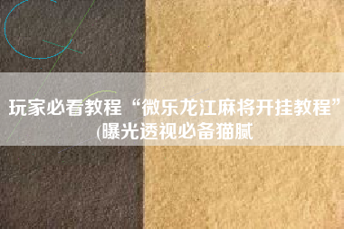 玩家必看教程“微乐龙江麻将开挂教程	”(曝光透视必备猫腻