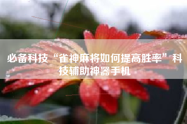 必备科技“雀神麻将如何提高胜率”科技辅助神器手机