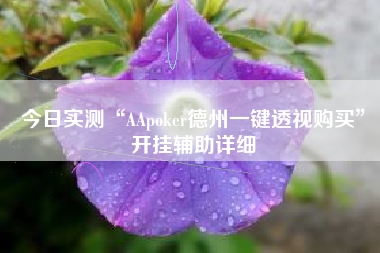 今日实测“AApoker德州一键透视购买	”开挂辅助详细