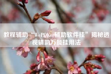 教程辅助“WePOKer辅助软件挂”揭秘透视辅助万能挂用法