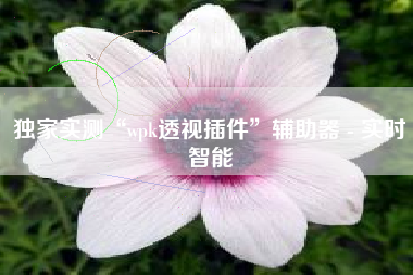 独家实测“wpk透视插件	”辅助器 - 实时智能