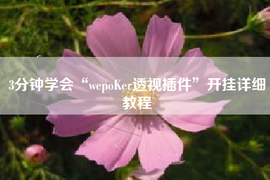 3分钟学会“wepoKer透视插件	”开挂详细教程