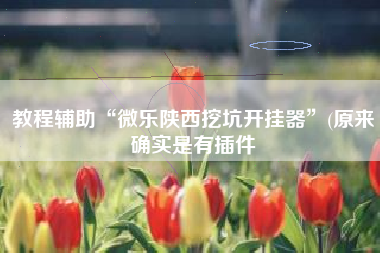 教程辅助“微乐陕西挖坑开挂器	”(原来确实是有插件