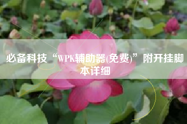必备科技“WPK辅助器(免费)”附开挂脚本详细