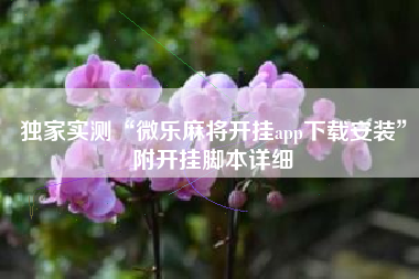 独家实测“微乐麻将开挂app下载安装”附开挂脚本详细