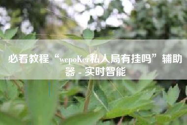 必看教程“wepoKer私人局有挂吗”辅助器 - 实时智能