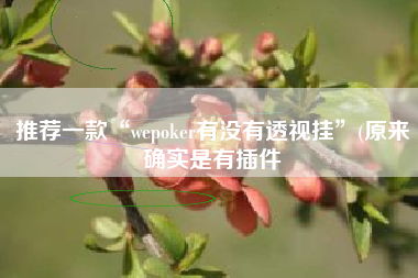 推荐一款“wepoker有没有透视挂”(原来确实是有插件