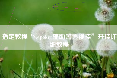 指定教程“wepoker辅助器透视挂”开挂详细教程