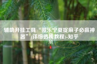 辅助开挂工具“微乐宁夏捉麻子必赢神器”(详细透视教程)-知乎
