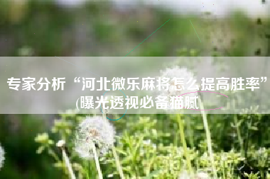 专家分析“河北微乐麻将怎么提高胜率”(曝光透视必备猫腻