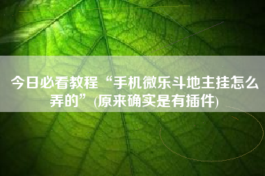 今日必看教程“手机微乐斗地主挂怎么弄的	”(原来确实是有插件)