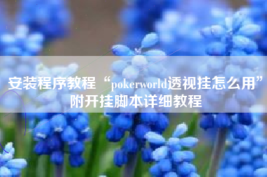 安装程序教程“pokerworld透视挂怎么用”附开挂脚本详细教程