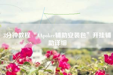 3分钟教程“AApoker辅助安装包”开挂辅助详细