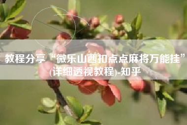 教程分享“微乐山西扣点点麻将万能挂”(详细透视教程)-知乎