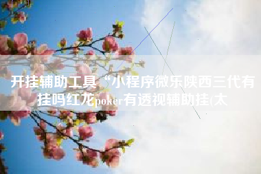 开挂辅助工具“小程序微乐陕西三代有挂吗红龙poker有透视辅助挂(太