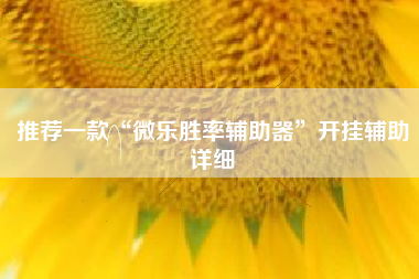 推荐一款“微乐胜率辅助器”开挂辅助详细