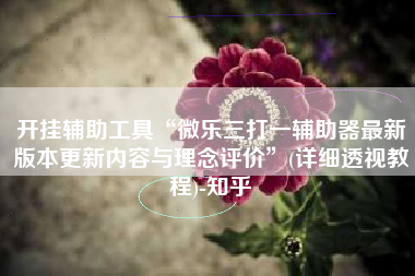 开挂辅助工具“微乐三打一辅助器最新版本更新内容与理念评价”(详细透视教程)-知乎