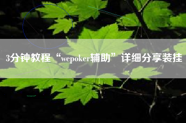3分钟教程“wepoker辅助”详细分享装挂