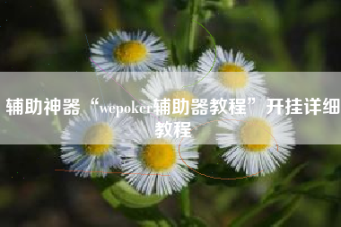 辅助神器“wepoker辅助器教程”开挂详细教程