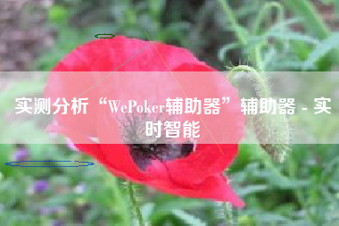 实测分析“WePoker辅助器”辅助器 - 实时智能