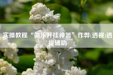 实操教程“微乐开挂神器”作弊(透视)透视辅助