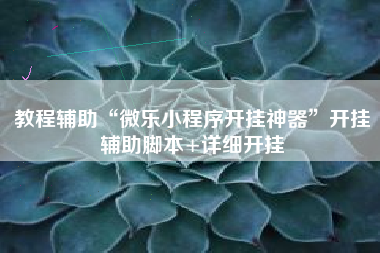 教程辅助“微乐小程序开挂神器”开挂辅助脚本+详细开挂